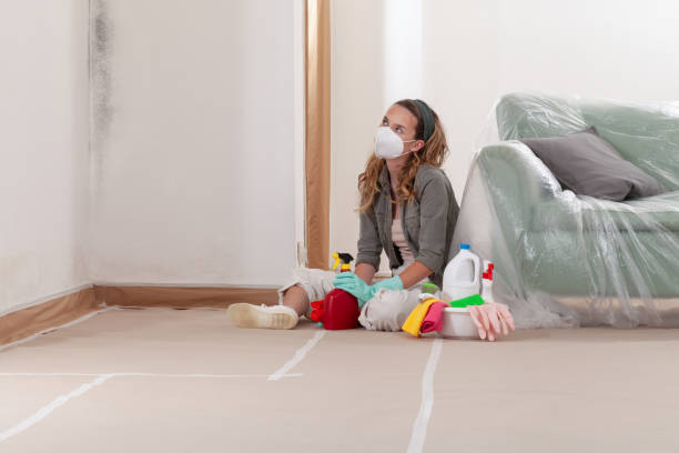Reliable Mold Testing contractor in Williamsburg, MI by WQB Mold Removal